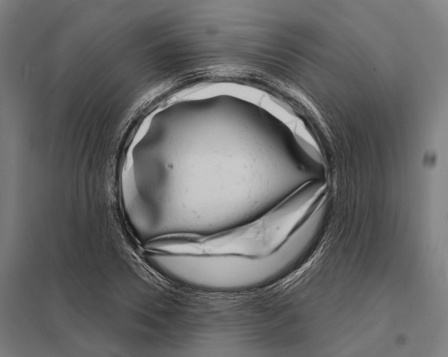 X0000097630930200803281056