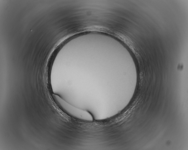 X0000097630931200803281056