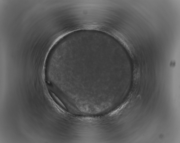 X0000097630932200803281056