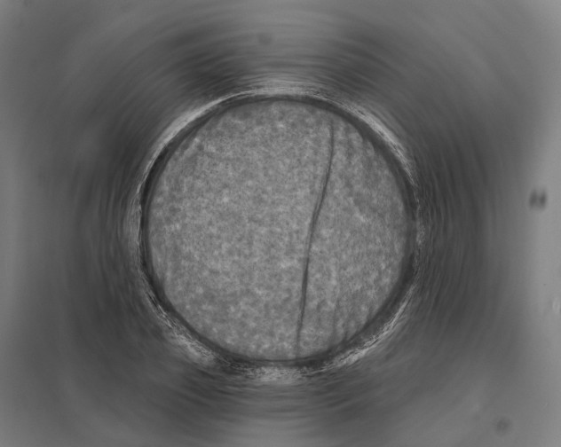 X0000097630933200803281056