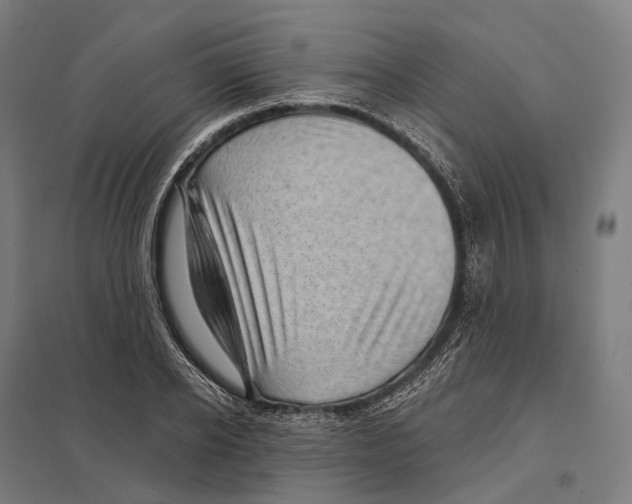 X0000097630934200803281056