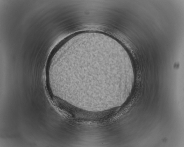 X0000097630936200803281056