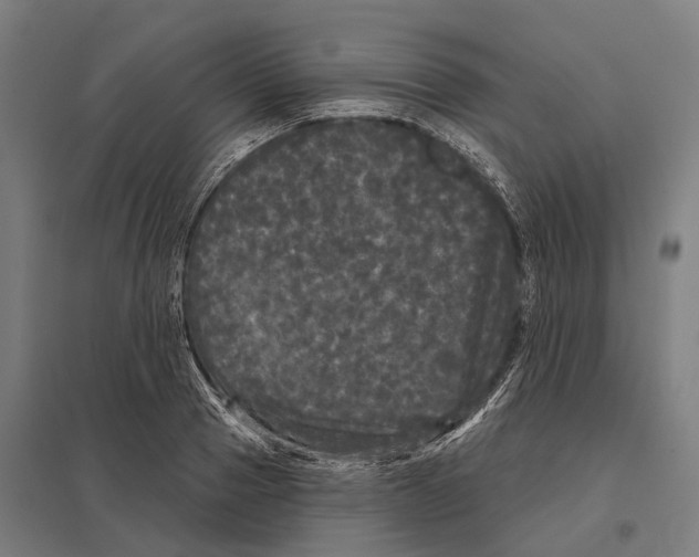 X0000097630937200803281056