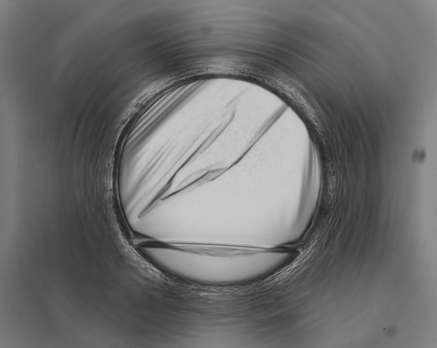 X0000097630938200803281056