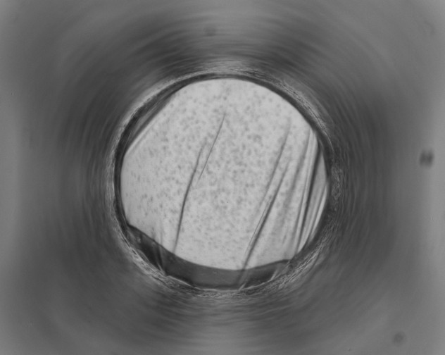 X0000097630939200803281056