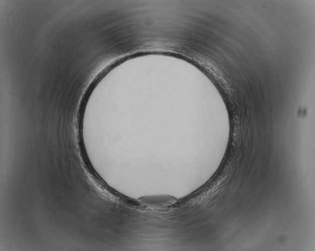 X0000097630942200803281057