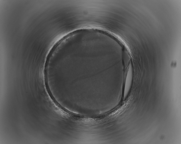 X0000097630943200803281057