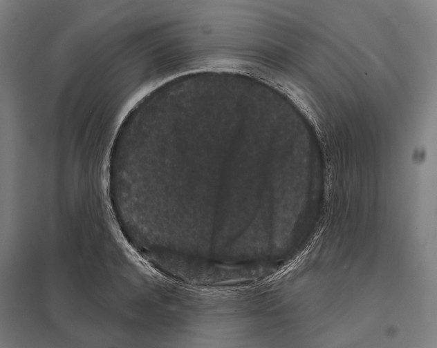X0000097630944200803281057