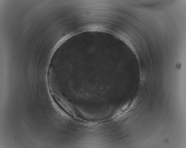 X0000097630946200803281057