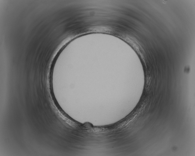 X0000097630947200803281057