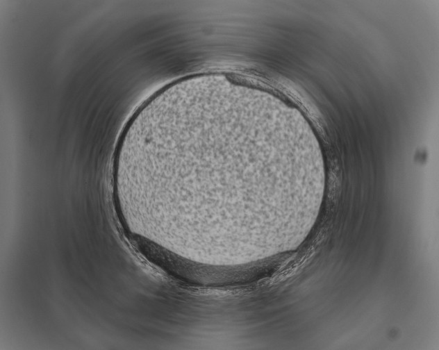 X0000097630948200803281057
