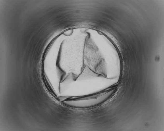 X0000097630949200803281057