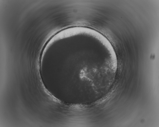X0000097630950200803281057