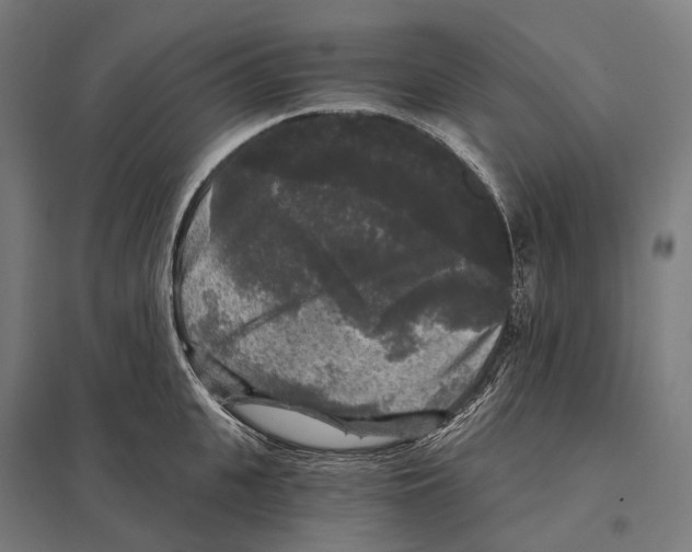 X0000097630951200803281057