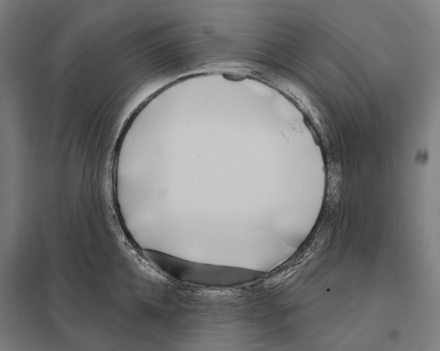 X0000097630952200803281057