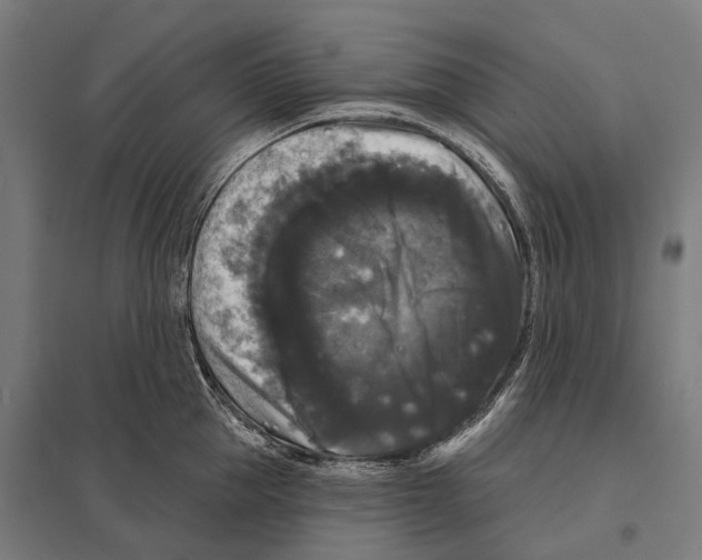 X0000097630953200803281057