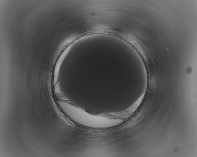 X0000097630954200803281057