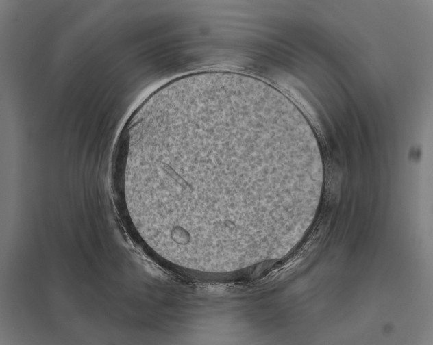 X0000097630956200803281057