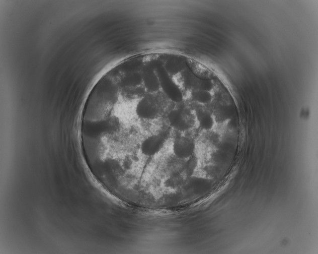 X0000097630957200803281057