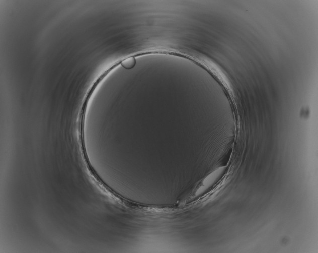 X0000097630958200803281057