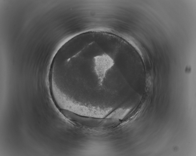 X0000097630959200803281057