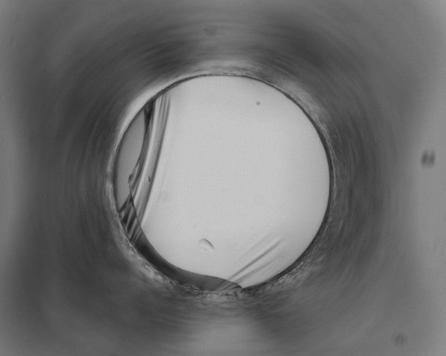 X0000097630960200803281057