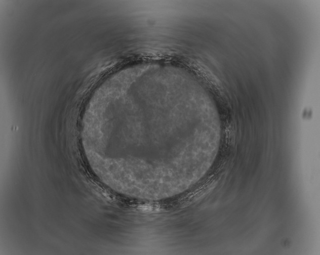 X0000097630961200803281056