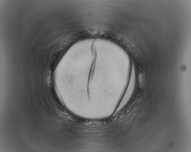 X0000097630963200803281056