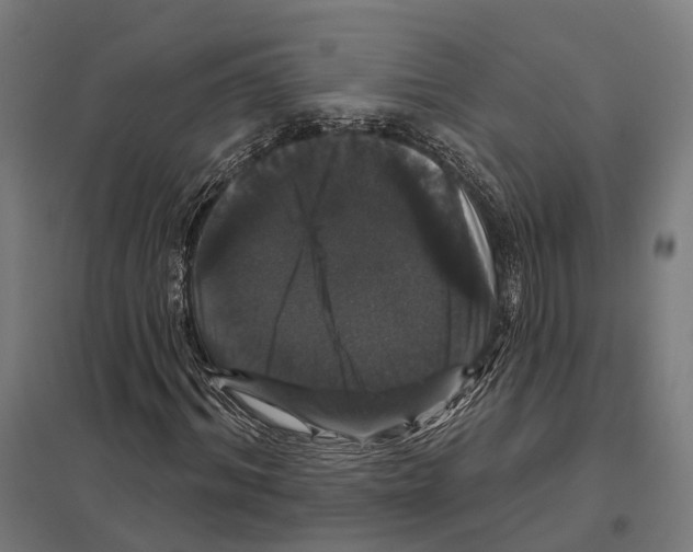 X0000097630964200803281056