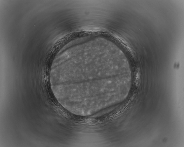 X0000097630966200803281056