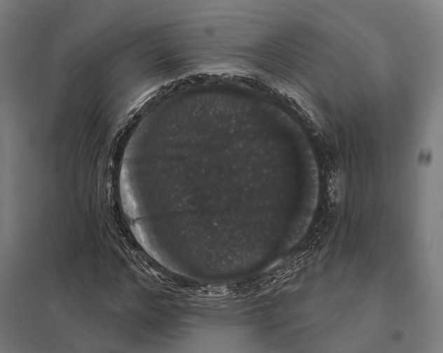 X0000097630968200803281056