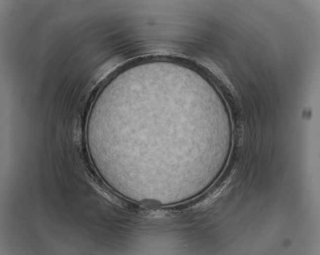 X0000097630969200803281056