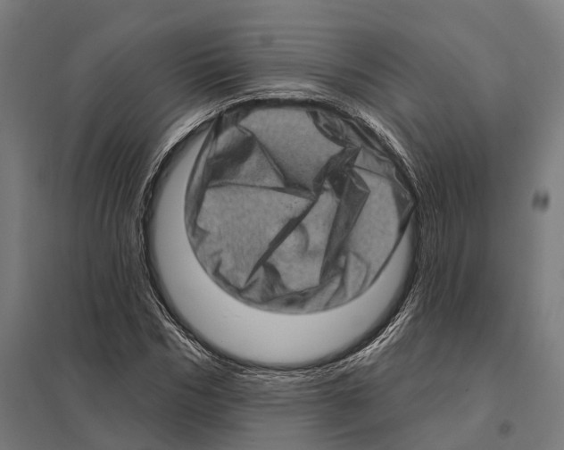 X0000097630970200803281056