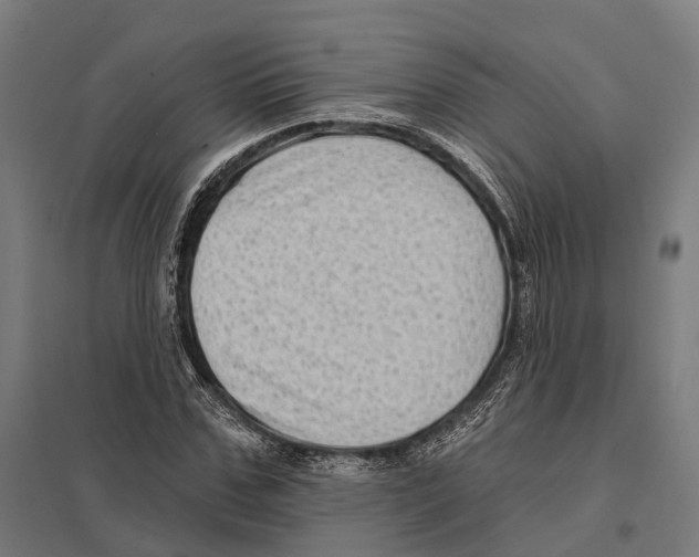 X0000097630971200803281056