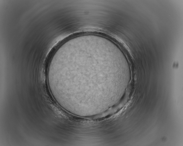 X0000097630973200803281056