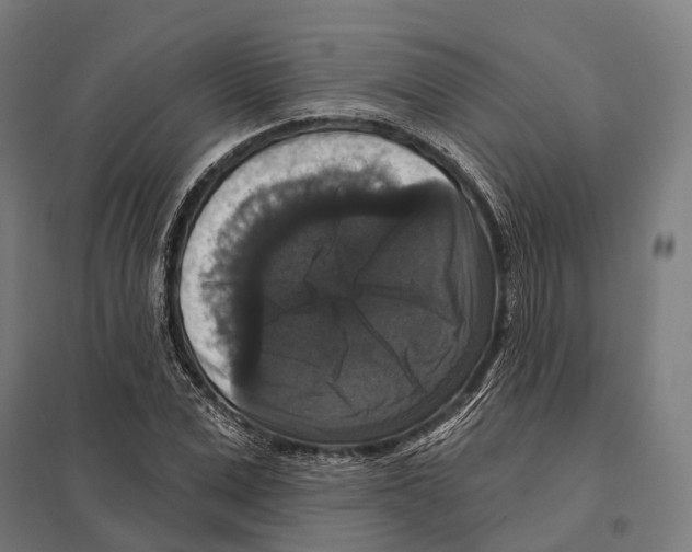 X0000097630975200803281056