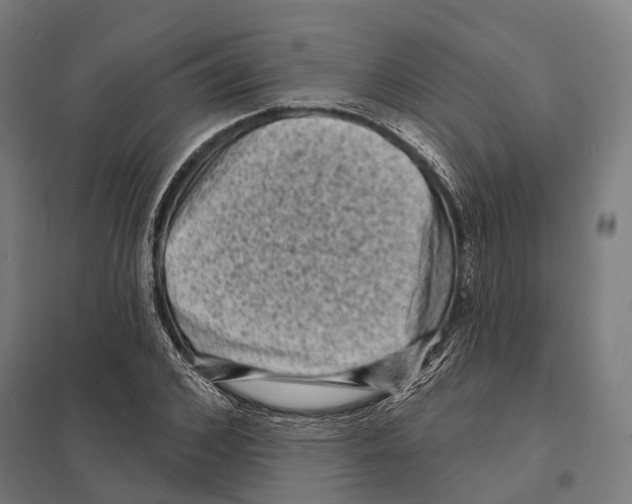 X0000097630976200803281056