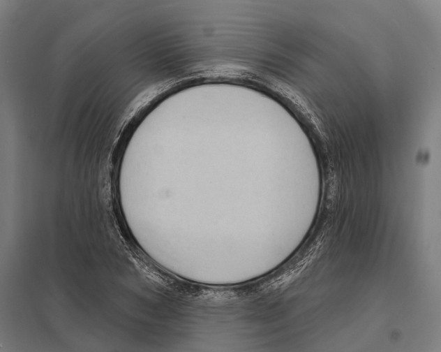 X0000097630978200803281056
