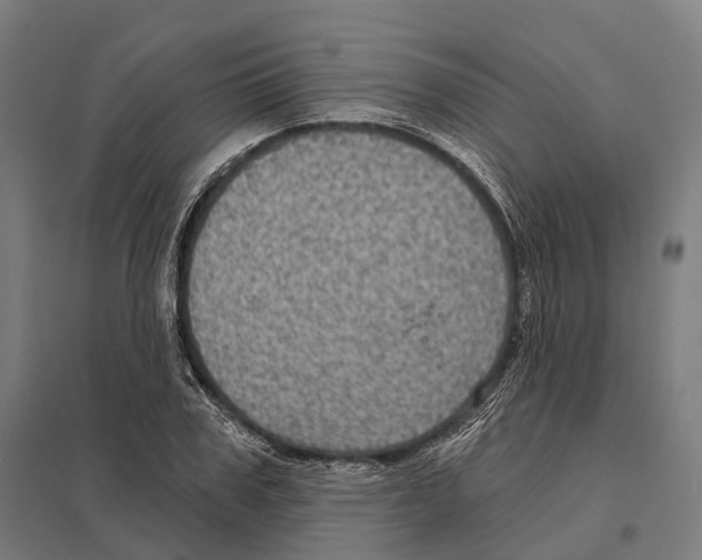 X0000097630979200803281056