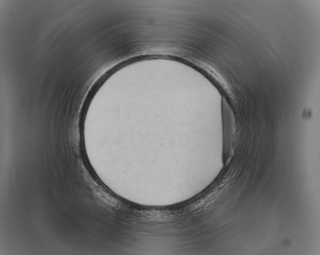 X0000097630980200803281056