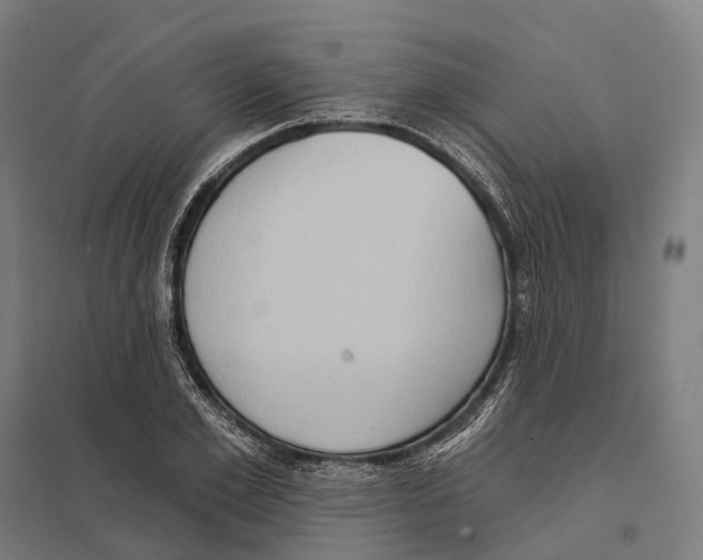 X0000097630981200803281056