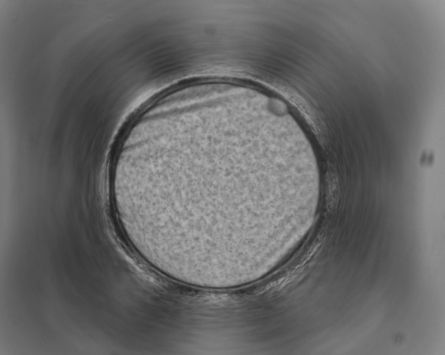 X0000097630982200803281056