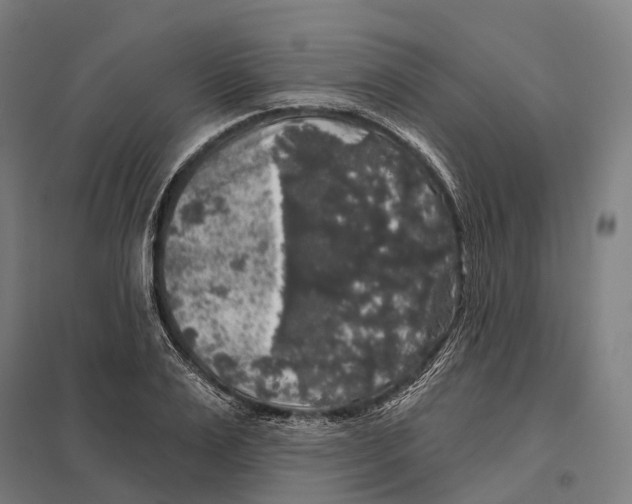 X0000097630983200803281056
