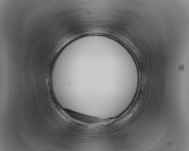 X0000097630985200803281056