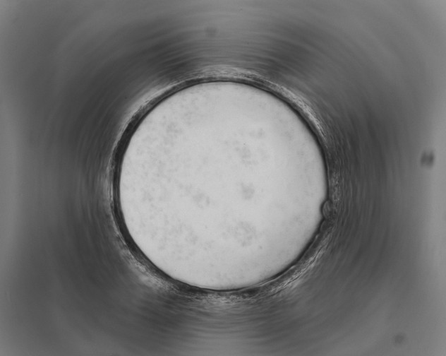 X0000097630987200803281056