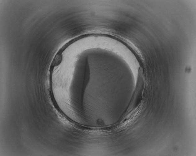 X0000097630988200803281056