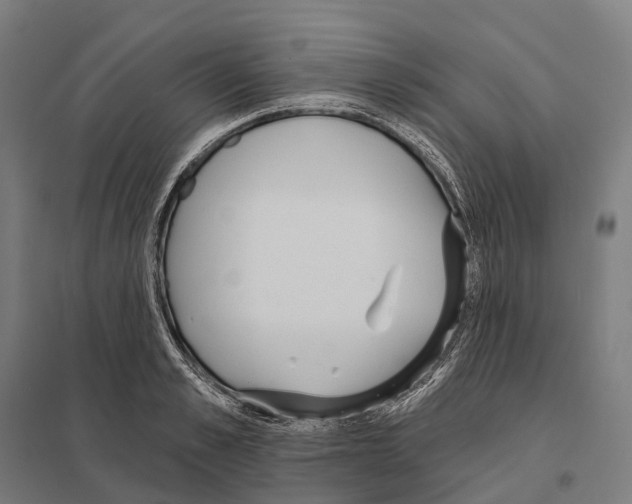 X0000097630989200803281056