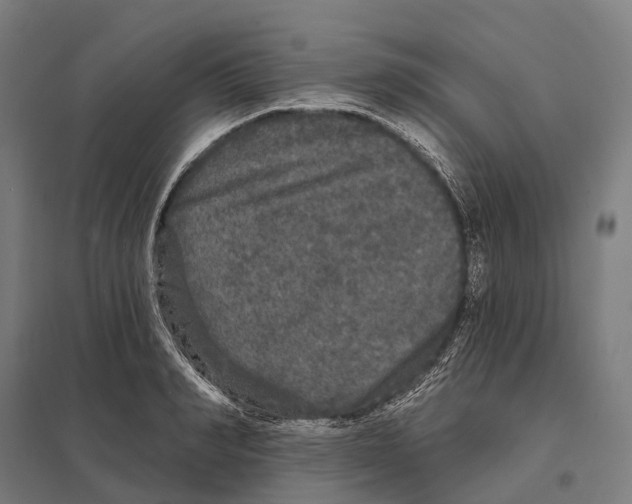X0000097630990200803281056