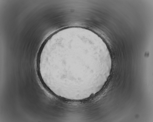X0000097630991200803281056