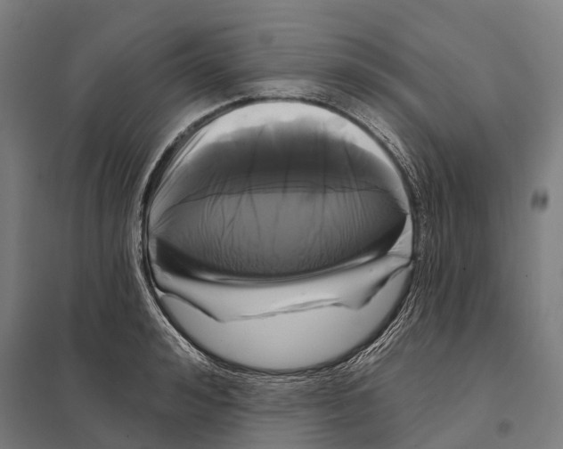 X0000097630992200803281056